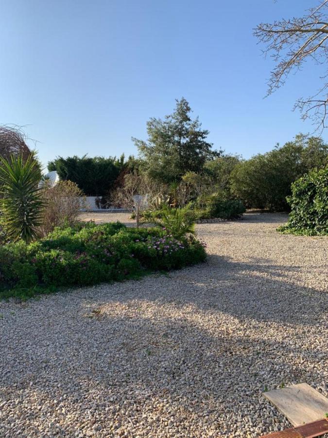 Lemon Tree Villa Monserrat Dış mekan fotoğraf